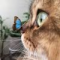 Olga St Avatar
