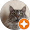 Владислав Хома Avatar