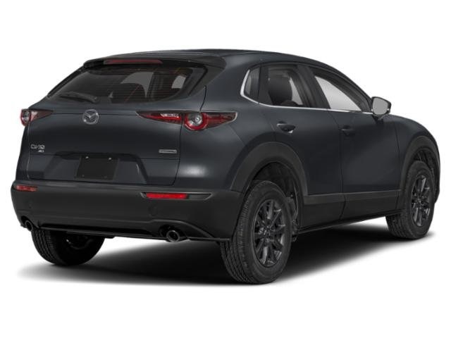 Rear view of the 2025 Mazda CX-30, showcasing its LED taillights, sculpted tailgate, and spacious cargo area.